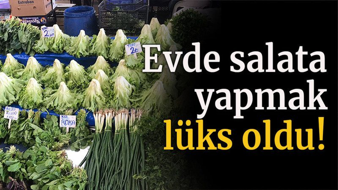Evde salata yapmak lüks oldu!